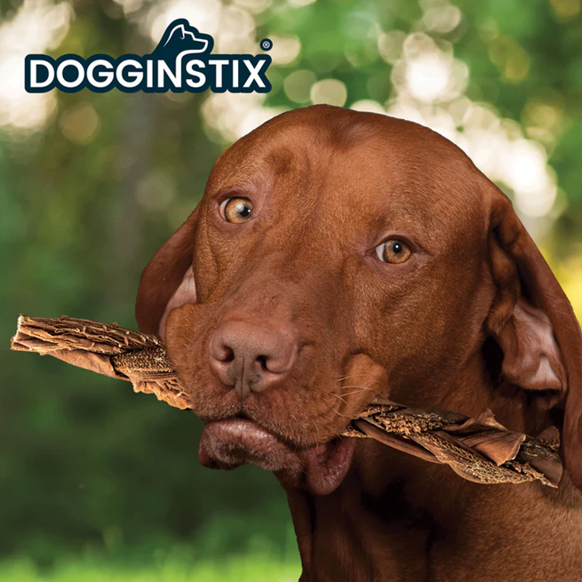 ALL NATURAL DOG CHEWS and TREATS BRAIDED BEEF TRIPE FREE RANGE – GRASS-FED BEEF. Premium Grade Beef Tripe