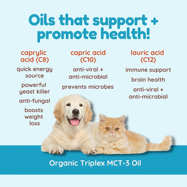 Dog and cat with TriPlex™ MCT Oil – supports brain health and energy