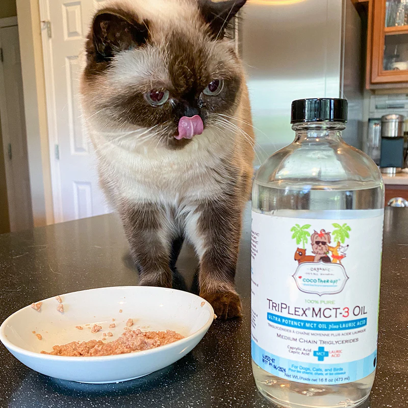 Best MCT oil for pets