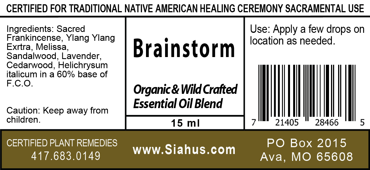 Brainstorm - Essential Oils Blend