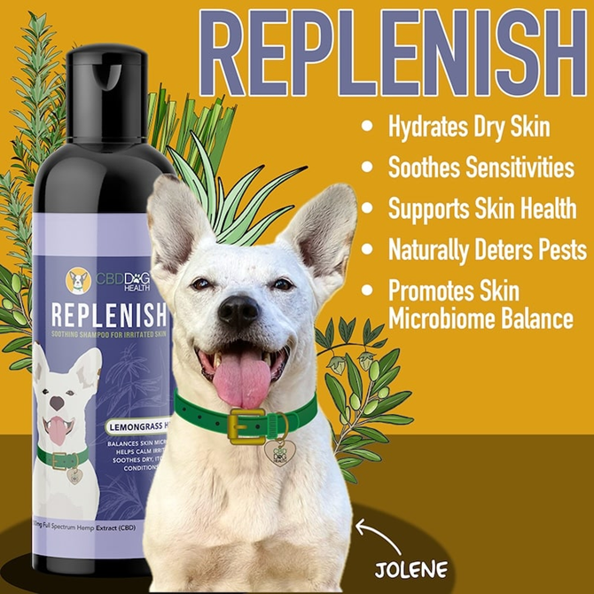 Replenish CBD Dog Shampoo soothes itchy, dry skin with 200mg full spectrum hemp extract. Gentle, hypoallergenic, and safe for sensitive dogs.