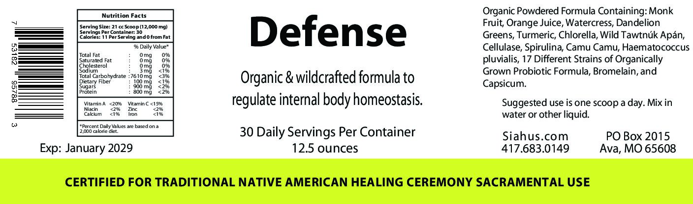 Native American healing herbs