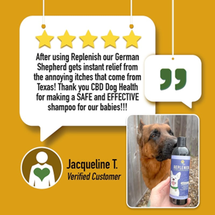 Product review for CBD dog shampoo with a dog and bottle on a yellow background