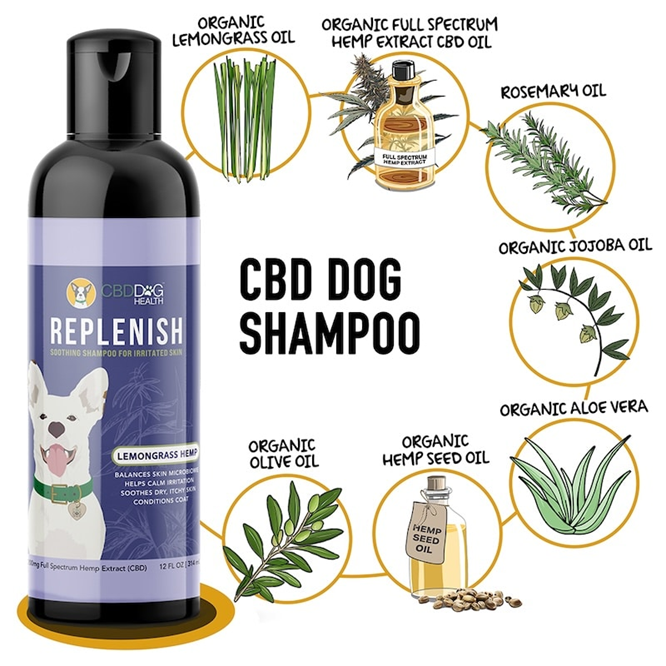 CBD dog shampoo bottle with organic ingredients listed on a white background
